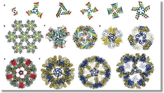 Protein drug development of supercritical extraction Protein drug development of supercritical extraction